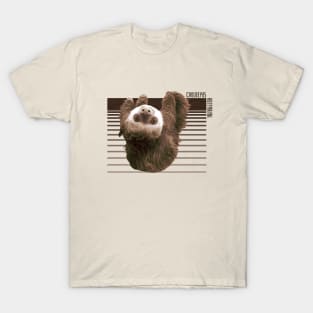 Hoffman's Two-Toed Sloth T-Shirt